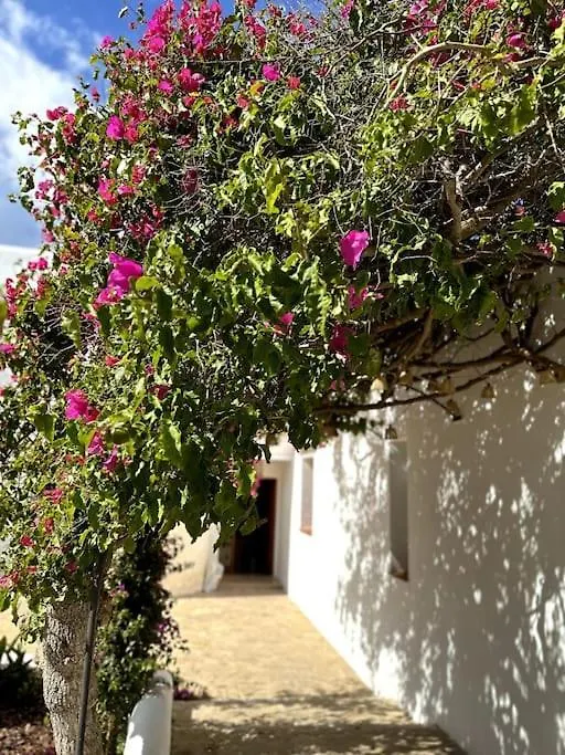 Villa 4 Palms Only 5 Minutes From Ibiza Montecristo 0*,  Spanien