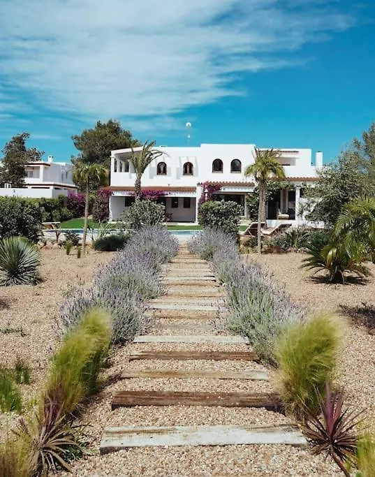Villa 4 Palms Only 5 Minutes From Ibiza Montecristo