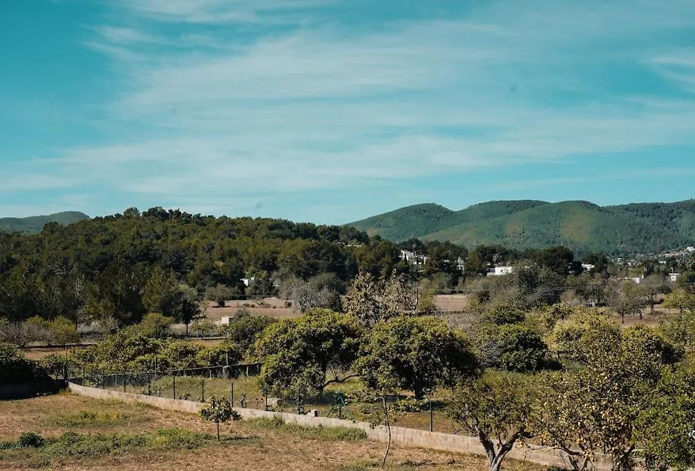 Villa 4 Palms Only 5 Minutes From Ibiza Montecristo